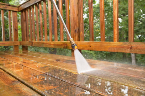 Best Driveway Pressure Washing  in Clermont, FL
